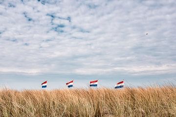 Driekleuren boven het duin van jan van de ven