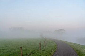 Mistige morgen langst de Dender