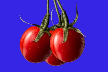 Des tomates rouges juteuses sur Leon Brouwer