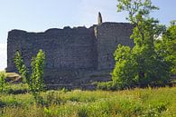 Castle Sween est un château en ruine situé dans la région d'Argyll et Bute Knapdale en Écosse. par Babetts Bildergalerie Aperçu