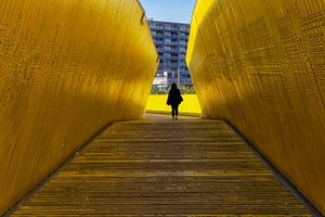 De Luchtsingel in Rotterdam