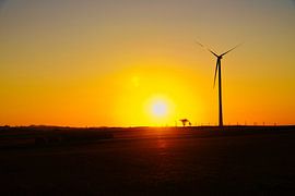 Windrad zum Sonnenuntergang auf einer Wiese von Martin Köbsch