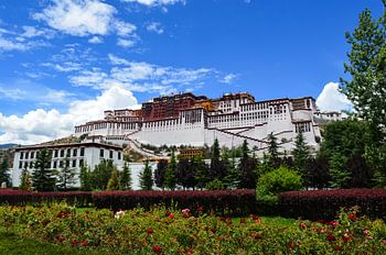 Magisch  Potala  Palace