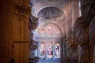 Malaga Cathedral par Maarten Jacobi Aperçu