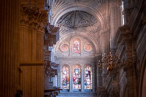 Malaga Cathedral von Maarten Jacobi