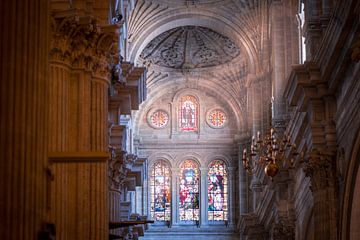 Malaga Cathedral van Maarten Jacobi