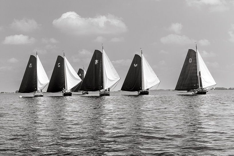 Friese Armada van ThomasVaer | Tom Coehoorn