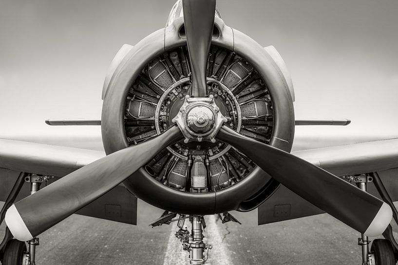 moteur radial par Frank Peters