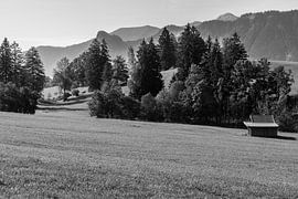 Matinée chaude d'été dans la nature allemande sur Werner Lerooy