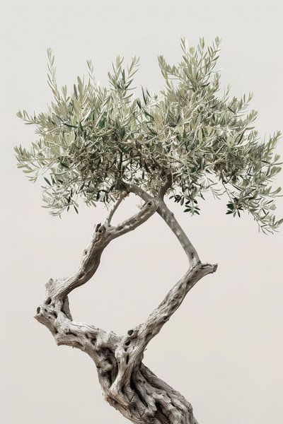 Timeless olive tree by Poster Art Shop