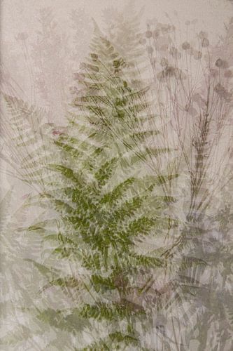 Collage mit Farn, Mehrfachbelichtung, absichtliches Rauschen