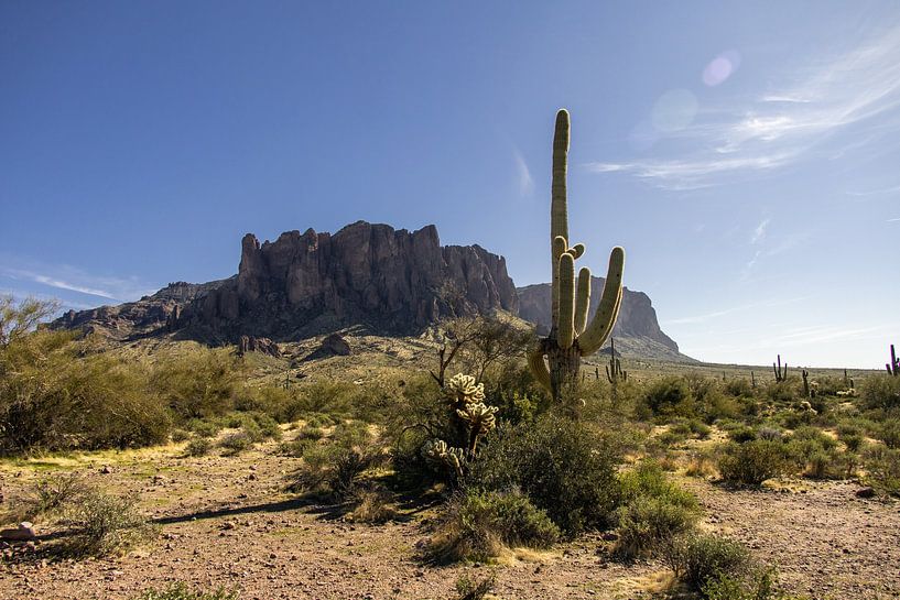Lost Dutchman State Park in Arizona. von Janny Beimers