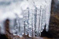 Icicles on a cold winter day