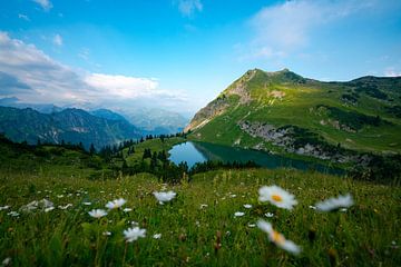 Flowery view of the Seealpsee in the Allgäu Alps by Leo Schindzielorz