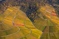 Wijngaarden in Stuttgart vanuit de lucht van Werner Dieterich thumbnail