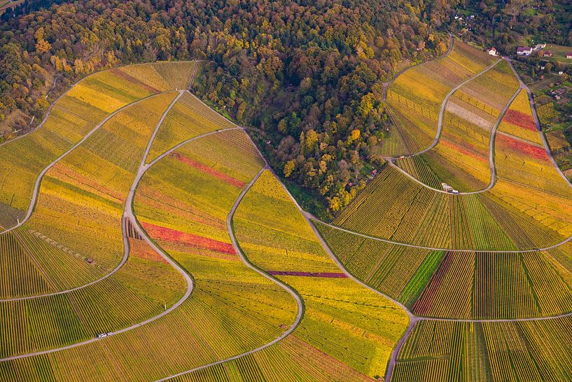 Wijngaarden in Stuttgart vanuit de lucht van Werner Dieterich