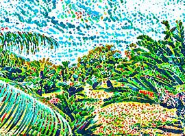 Madère, Motif 1 sur zam art