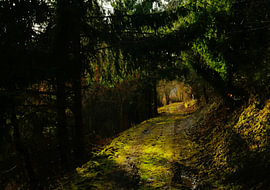 Straight out of a fairytale ... von Helmut Martin - The Art of Stone - Steinkunst & Photographie