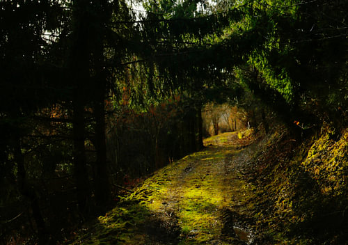 Straight out of a fairytale ...