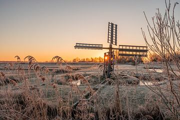 Sonnenstrahlen durch die Segel einer Mühle von Dafne Vos