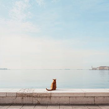 Horizont der Hoffnung