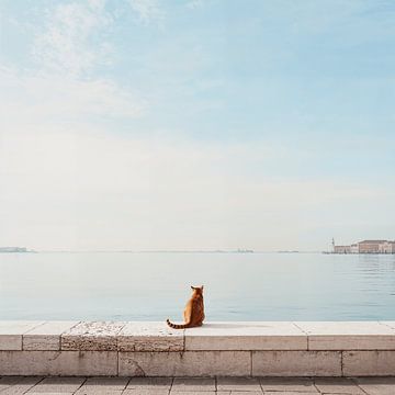 Horizon of hope by OK-ART