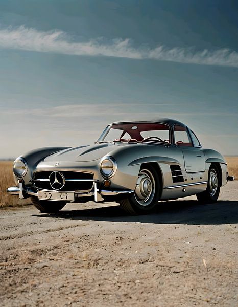 Mercedes Benz 300 SL by Leader Fc