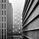 De Knoop, Wonderwoods en het Beatrixtheater in de mist van André Blom Fotografie Utrecht thumbnail