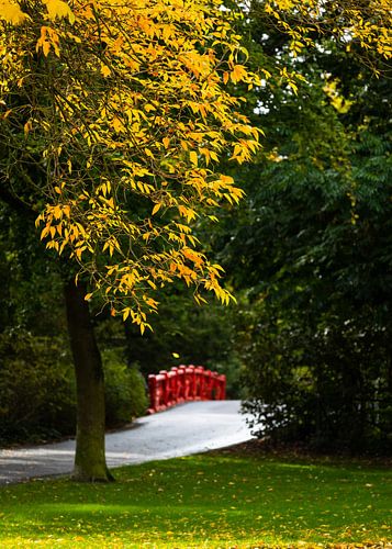 Kleur in Valkenberg Park Breda
