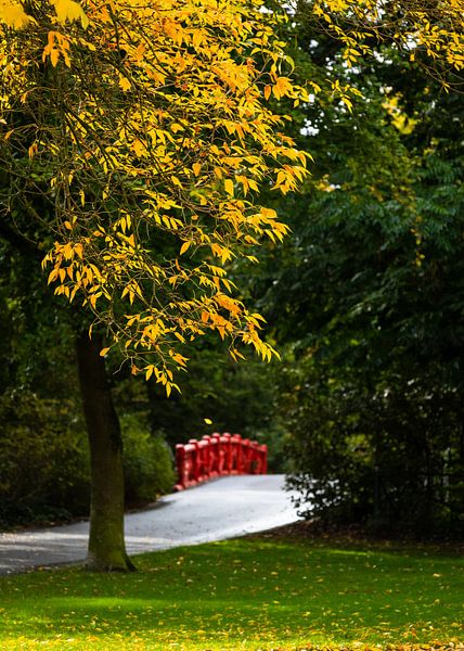 Farbe im Valkenberg-Park Breda von JPWFoto