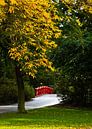 Farbe im Valkenberg-Park Breda von JPWFoto Miniaturansicht