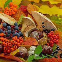 Autumn decoration made of leaves, mushrooms and fruits