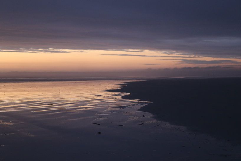 Waterline 2 by Noor van Duijvenboden