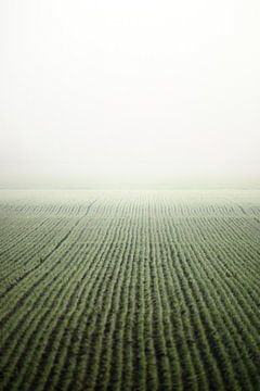 Land in mist van SA Fotografie