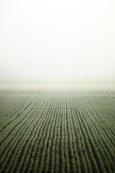 Terre dans le brouillard par Simon Abbes