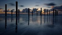 Palendorp Petten - 2