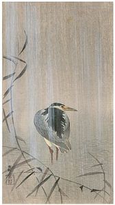 Ohara Koson - Ein Schwarzscheitel-Nachtreiher im Regeneiher im Regen (bearbeitet)
