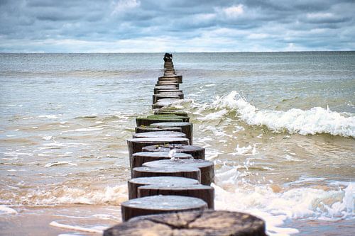 Enkele krib aan de Oostzee