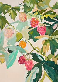 Raspberries Botany Food Nature by Niklas Maximilian