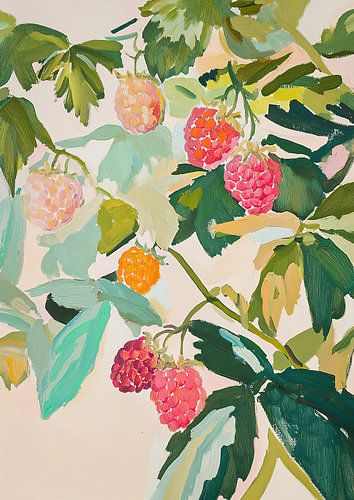 Raspberries Botany Food Nature