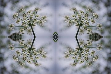 Natuurlijke Symmetrie