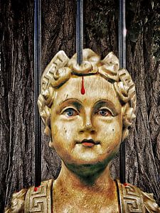 Sensibilisierung (Riegel, Blut, Roman, Selfie)