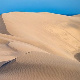 Dunes of Maspalomas by Martin Wasilewski