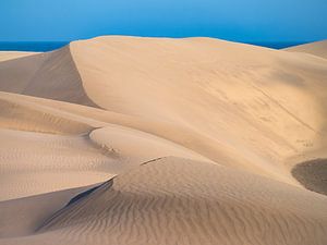Dünen von Maspalomas