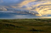 Stormwolken in de lucht boven de duinen van Texel van Sjoerd van der Wal Fotografie thumbnail