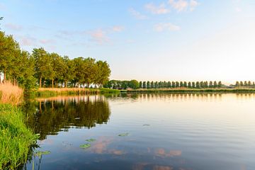 Lever de soleil sur un étang à côté du Zwartendijk près de Kampen au printemps. sur Sjoerd van der Wal Photographie