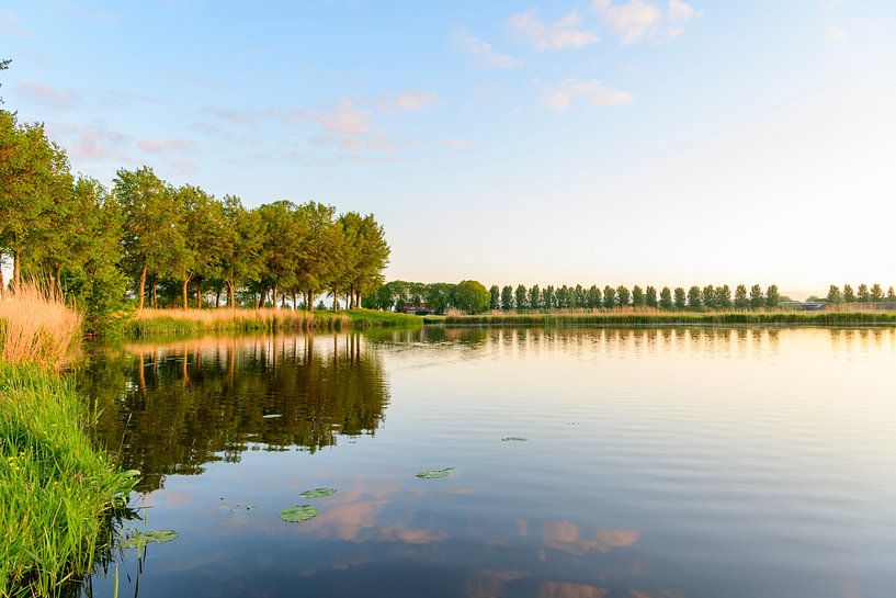 Sunrise over a pond next the Zwartendijk near Kampen during springtime by Sjoerd van der Wal Photography