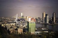 De skyline van Rotterdam  van Robbert Wilbrink thumbnail