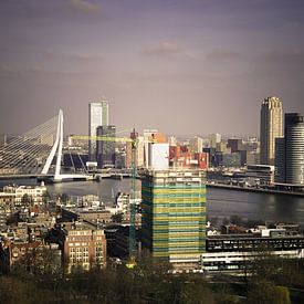 De skyline van Rotterdam  van Robbert Wilbrink