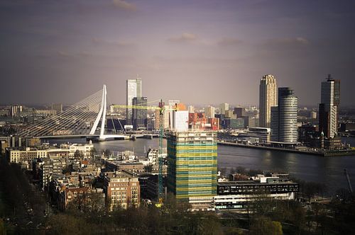 De skyline van Rotterdam 
